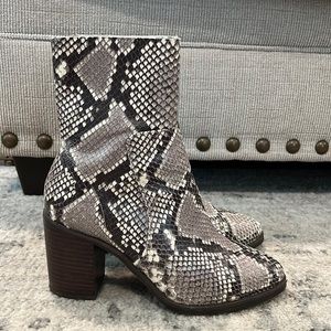 Steve Madden Rattlesnake Booties